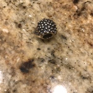 Pandora Jewelry - Pandora Hedgehog Charm Pandora Jewelry - Pandora Hedgehog Charm
